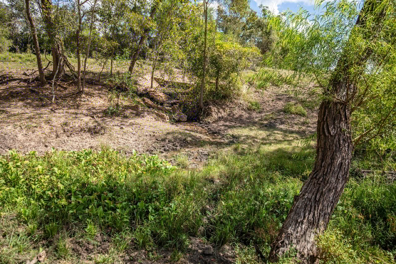 Lovers Lane River Ranch | 140± Acres | DeWitt County