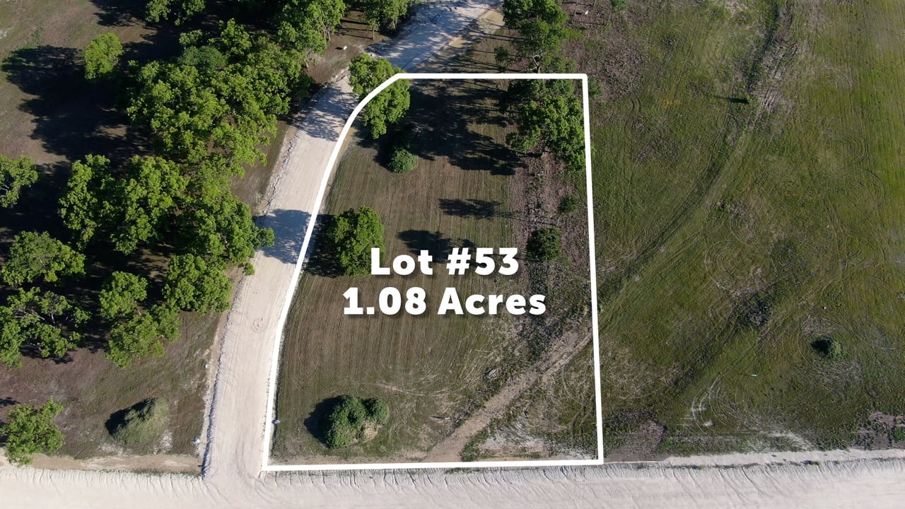 Lot 53