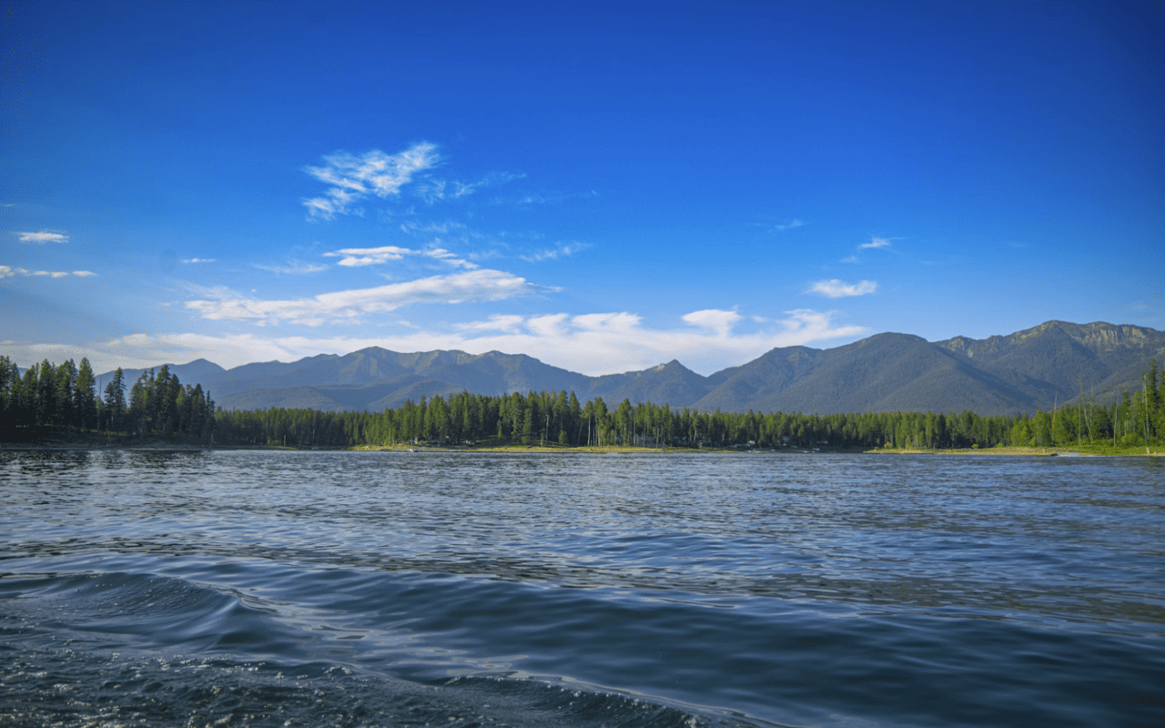 The Top Attractions in Kalispell, MT, for Locals or Tourists