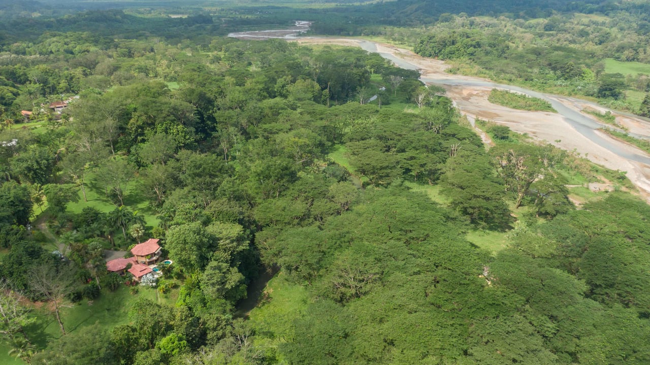 Stunning Tropical Home in Gated community with Hundreds of fruit trees  