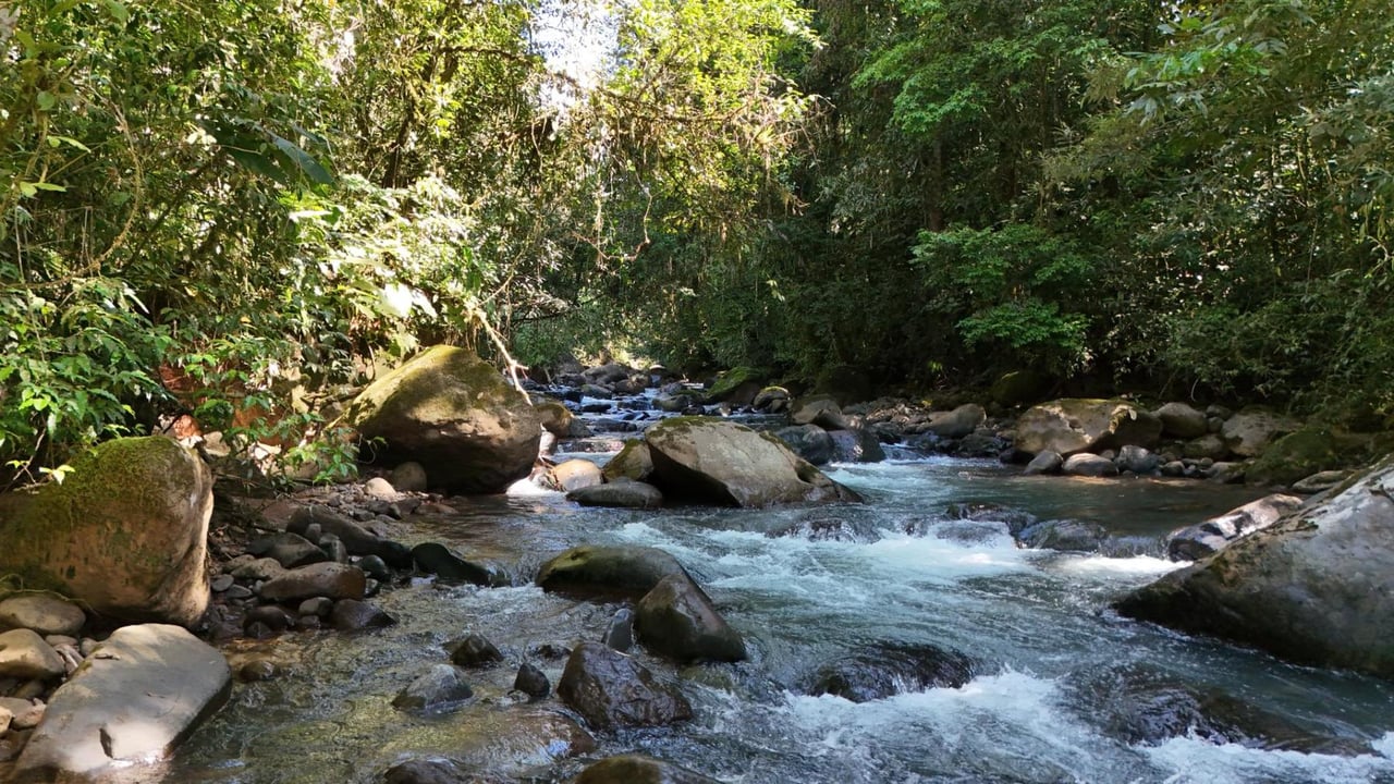 River and Waterfall Ranch, Perez Zeledon, San Jose