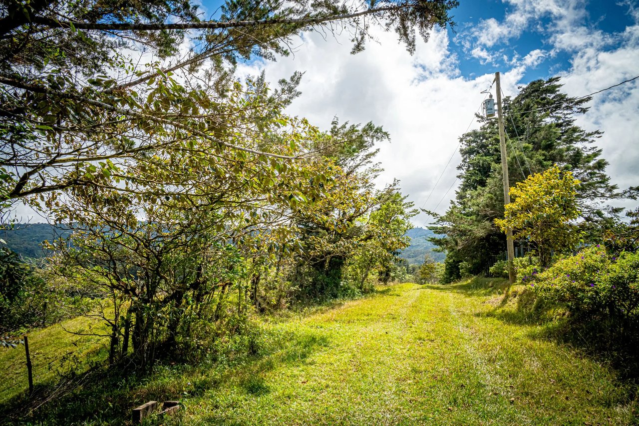 Sustainable Mountain Cabin, Cartago