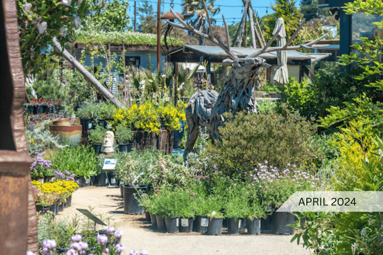 April 2024 Market News & More