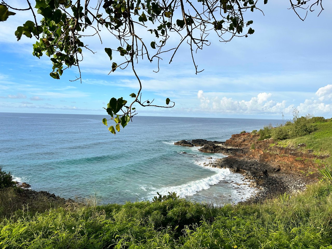 Kauai Real Estate Update, Hit & Run South Shore, Koloa Rum Expands, Orly Patisserie Review