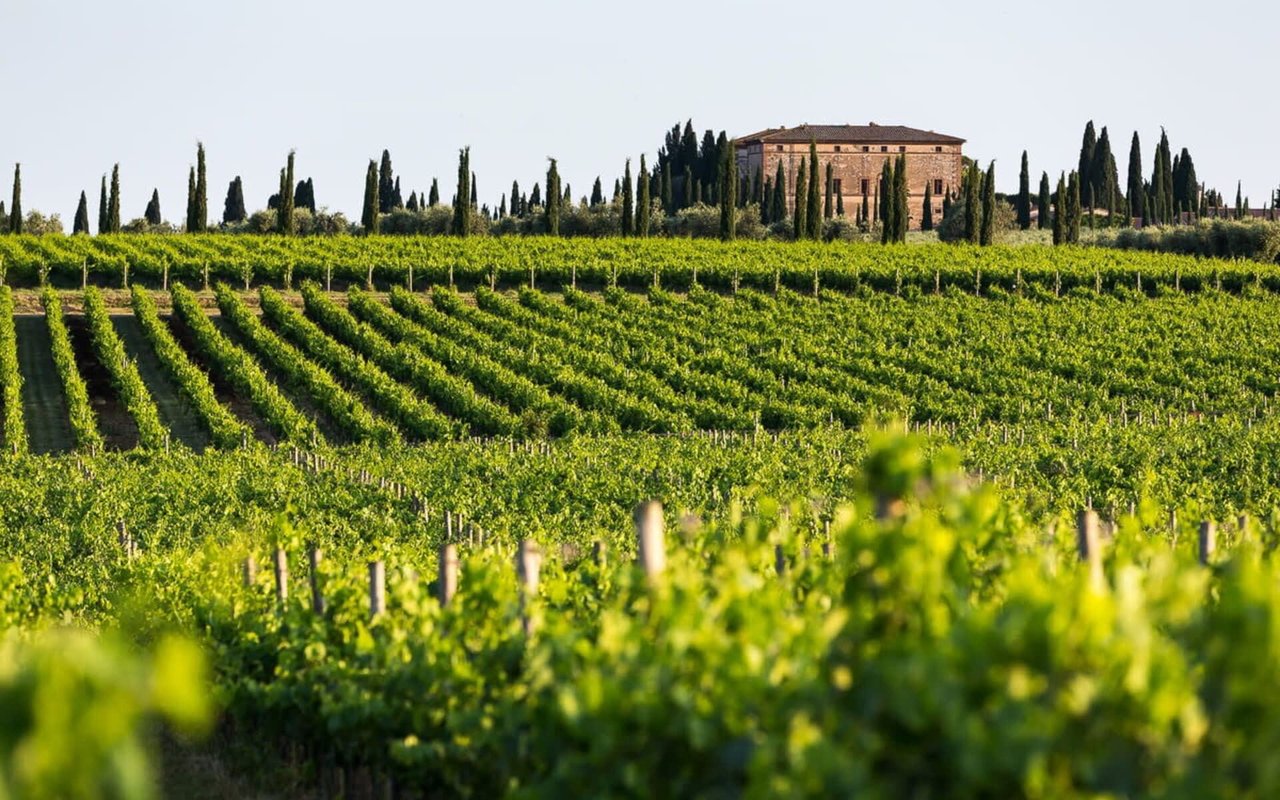 53024 Montalcino SI