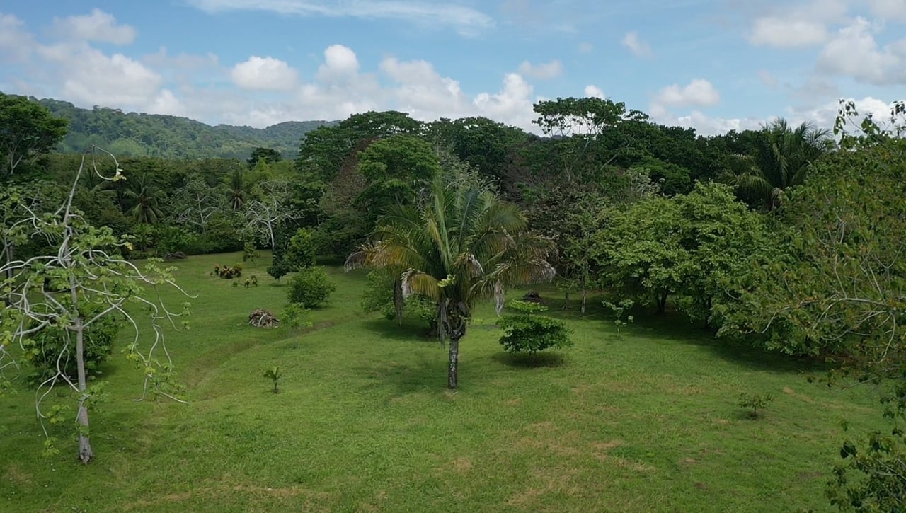 Titled Beachfront Development Land, Osa, Puntarenas