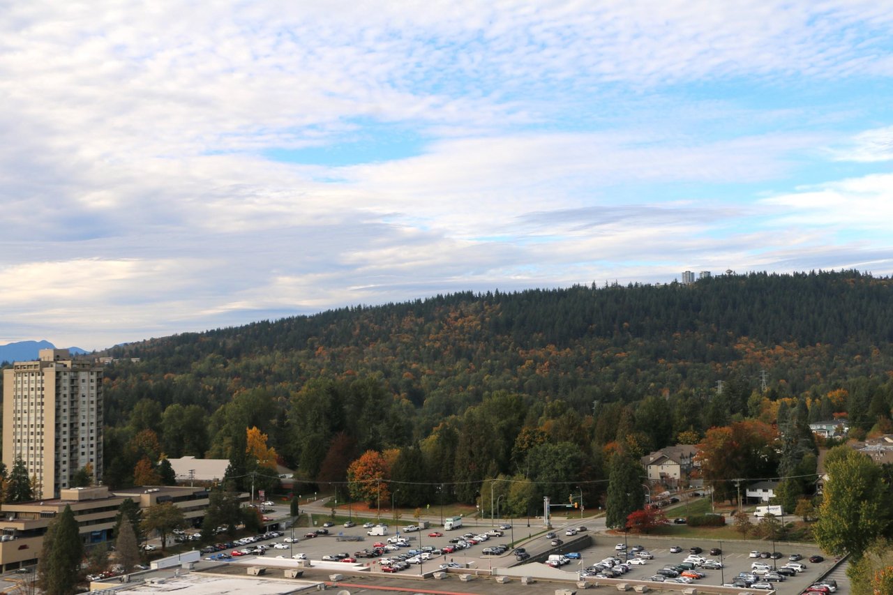 1211-3809 Evergreen Pl