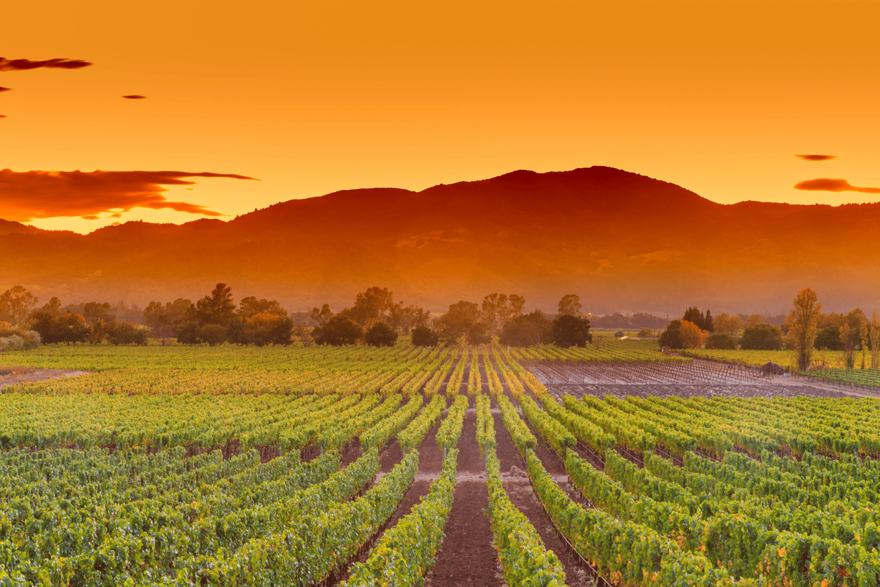 Embrace the Beauty of these 8 Napa Valley Hiking Trails