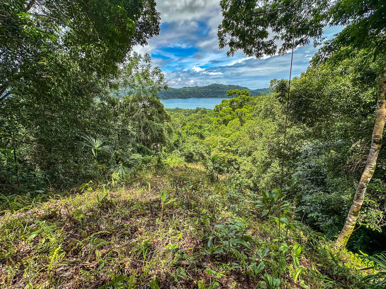 Prime 9.4-Acre Ocean View Land in Golfito