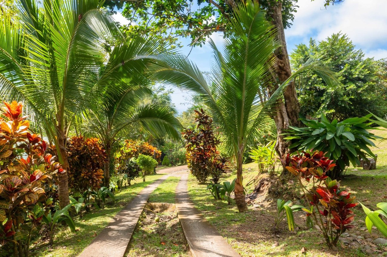 Casa Infinity, Tranquility Ocean View and Privacy 