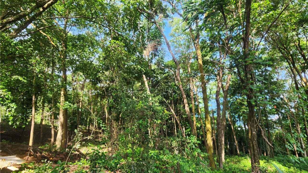 Oceanfront Resort Development Land, Uvita, Puntarenas