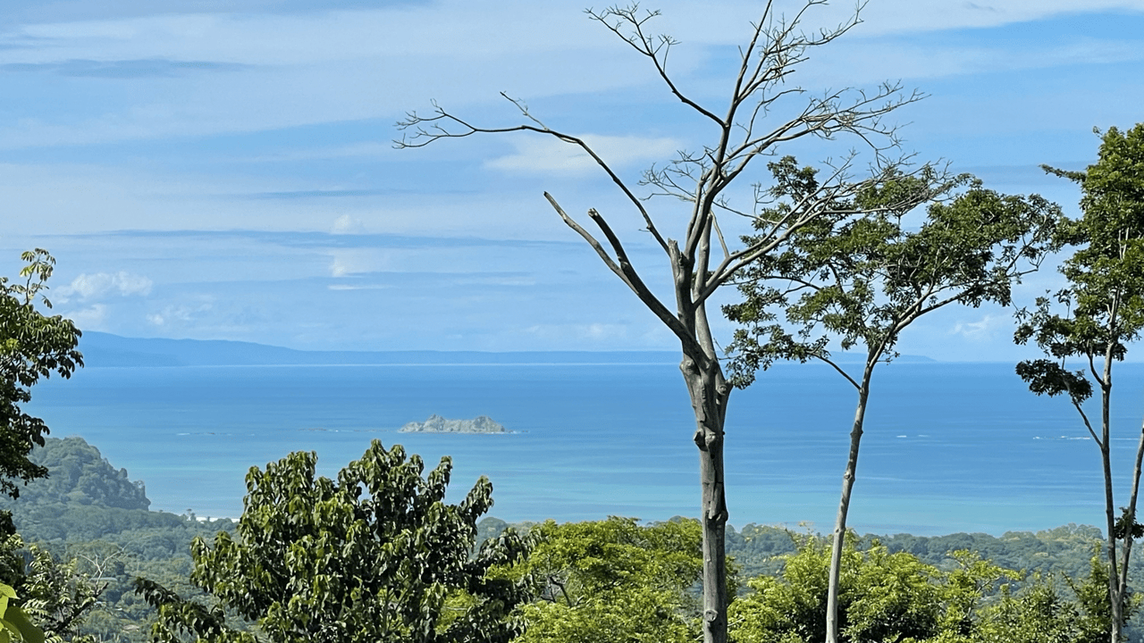 Front Ridge Land with Epic Ocean and Whale Tail Views