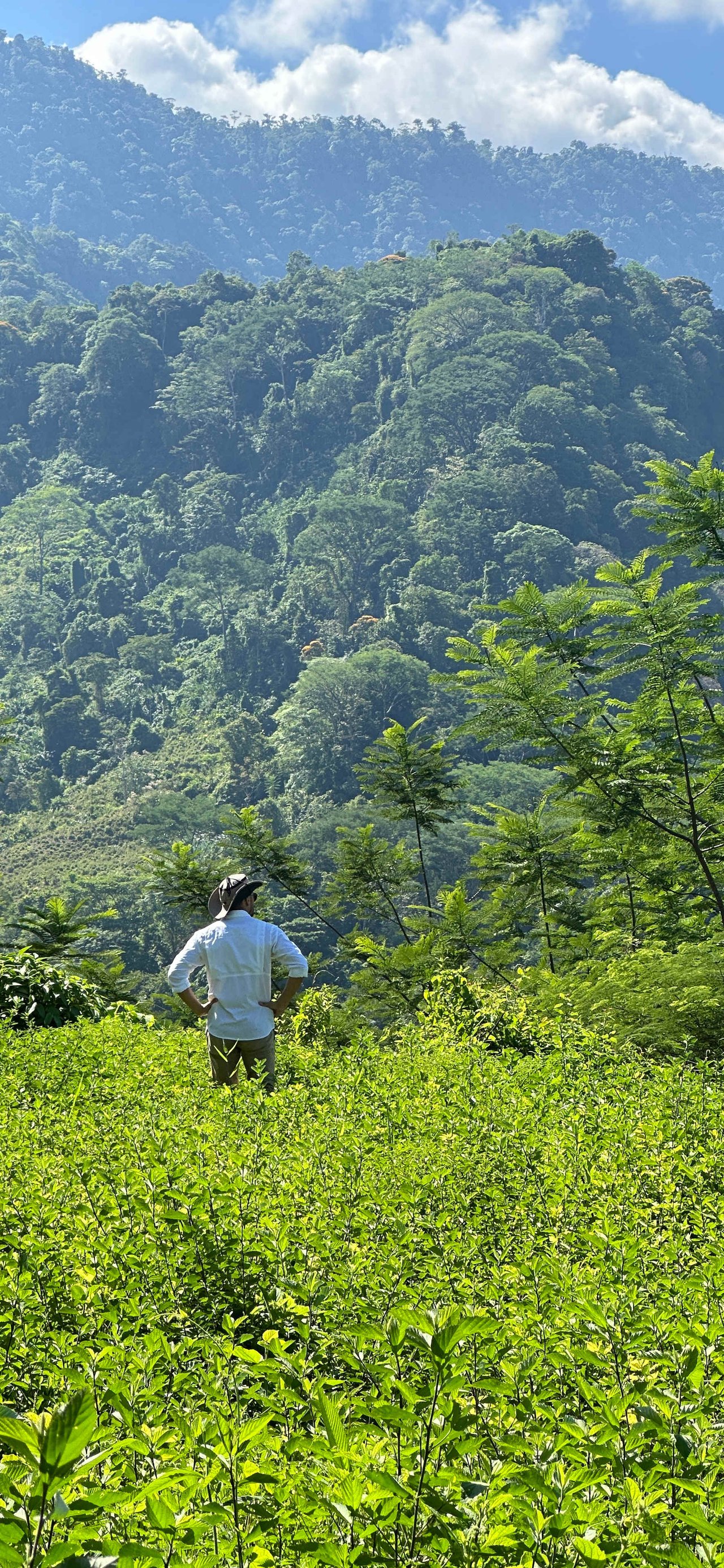 Prime Mountain Farm Land with Ocean Views and Private Waterfall in Uvita, Costa Rica