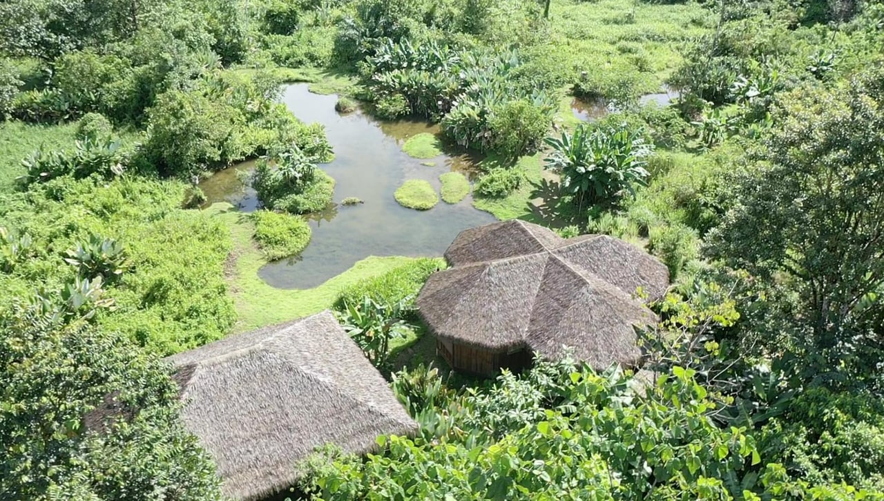 Sustainable Conservation Retreat, Osa, Puntarenas