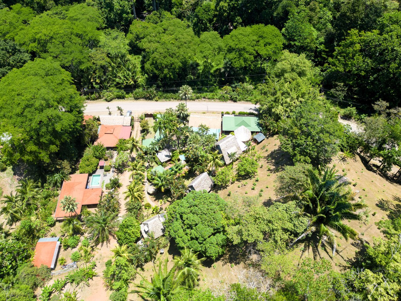 A MONEY MAKER! Location, home, guest cabins, with a SUCCE$$FUL exclusive distribution agency!