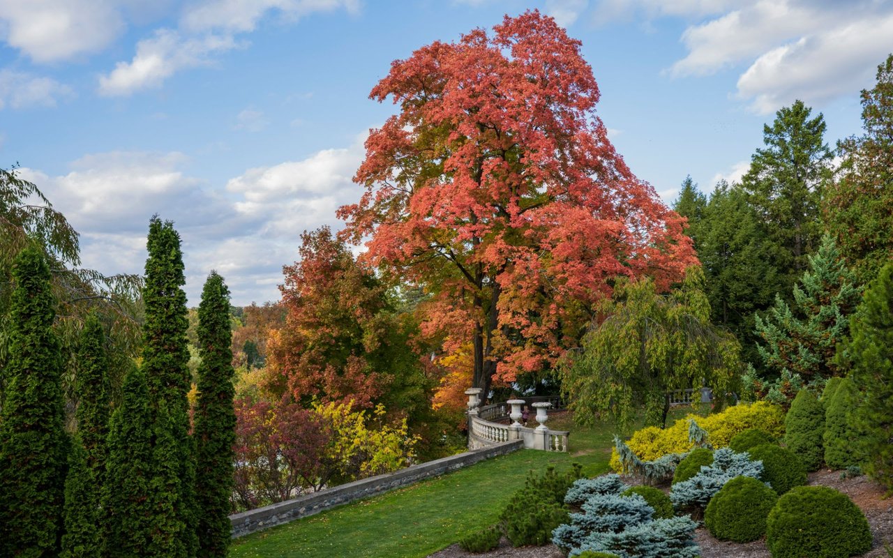 Bloomfield Hills