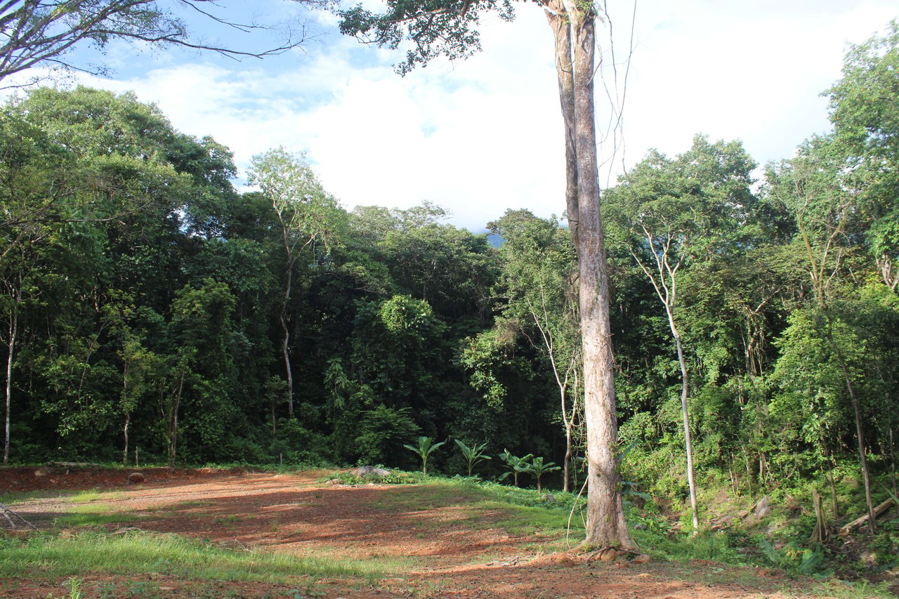 River Frontage Lot close to Uvita