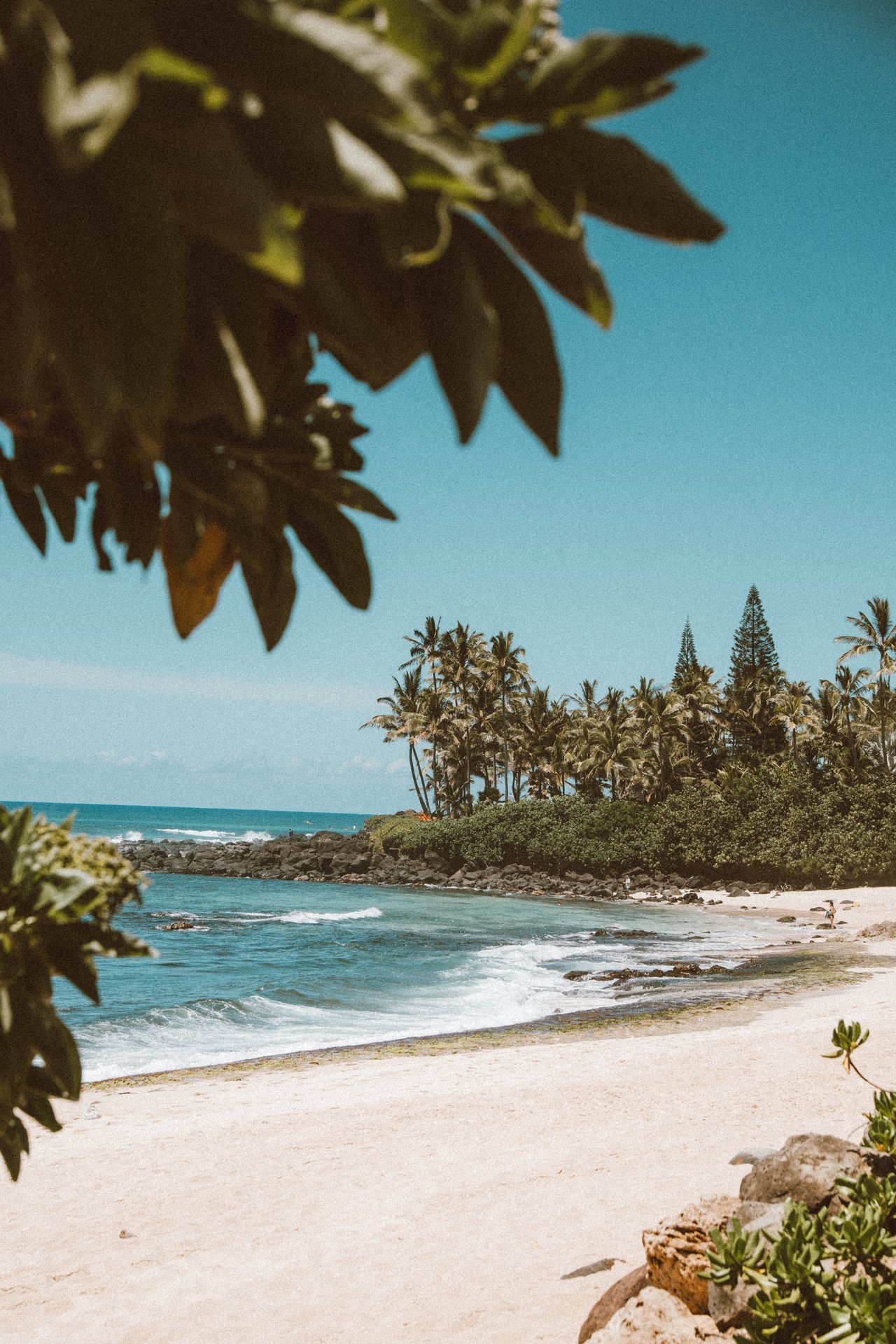 Kohala Coast