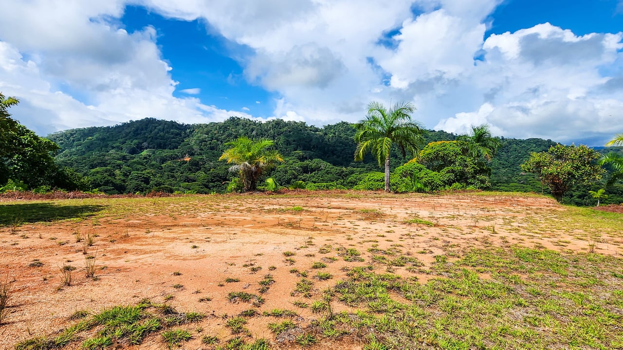 MANGO MANOR RIDGE PREMIER OCEAN VIEW PROPERTY IN DOMINICAL