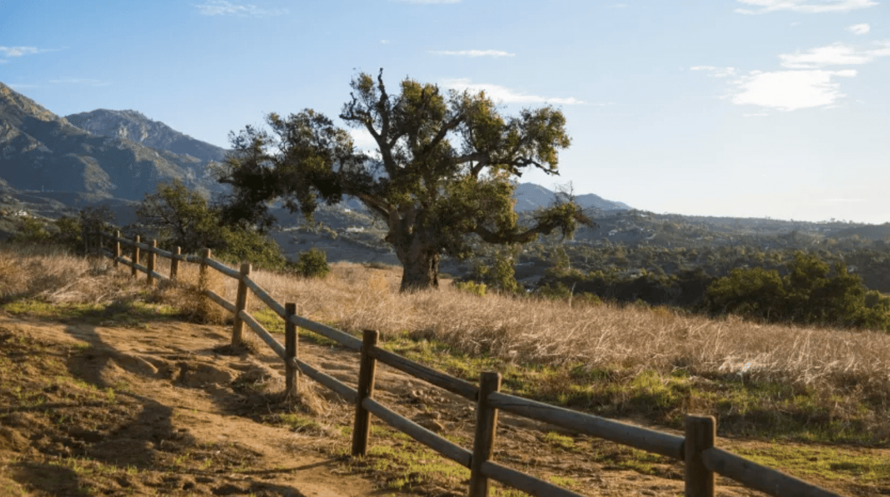 Save the San Marcos Foothills