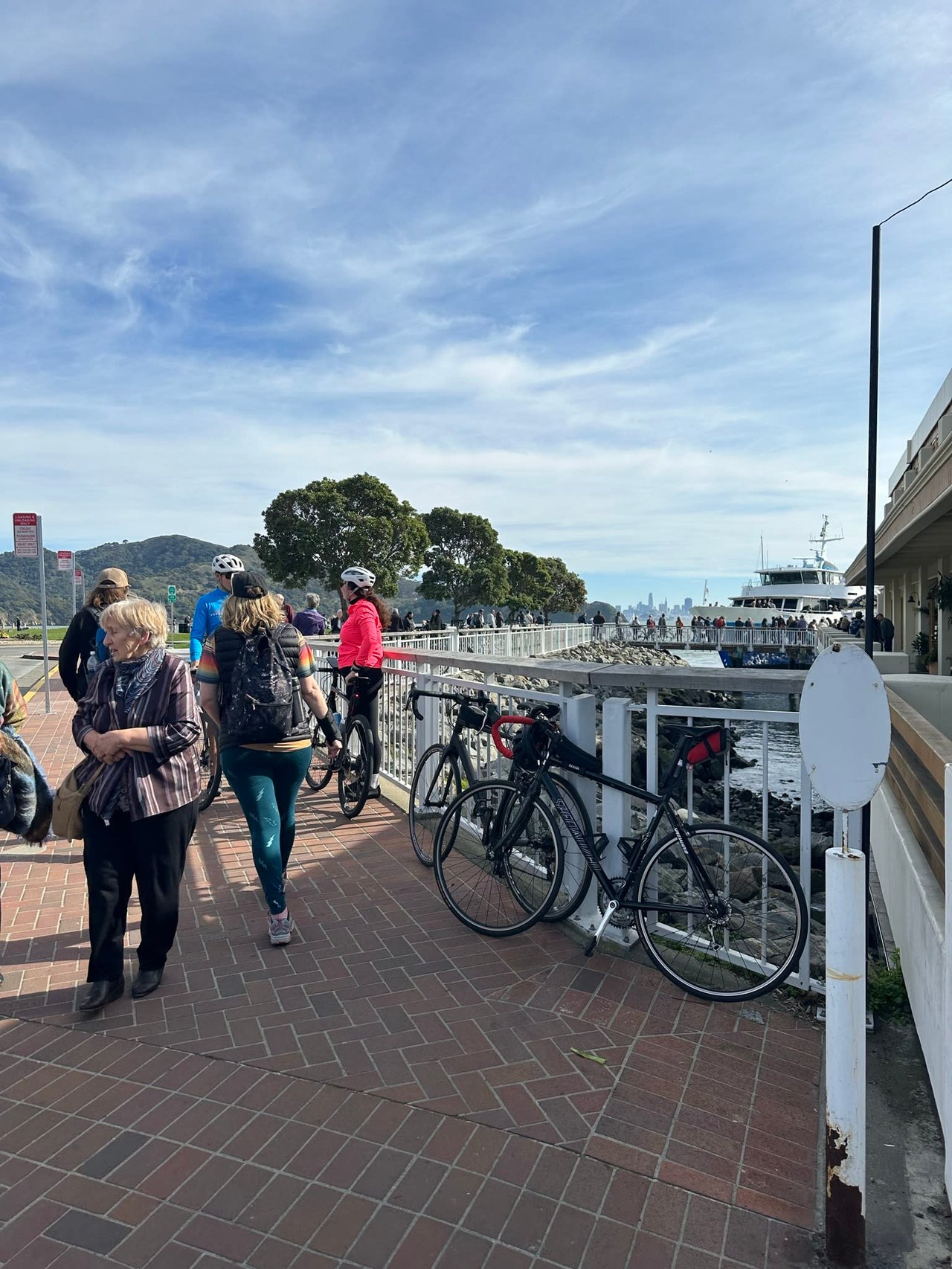 Tiburon Ferry Terminal Boat dock