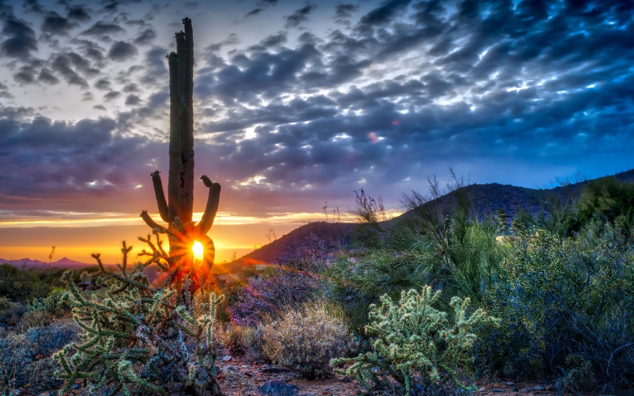 Ahwatukee