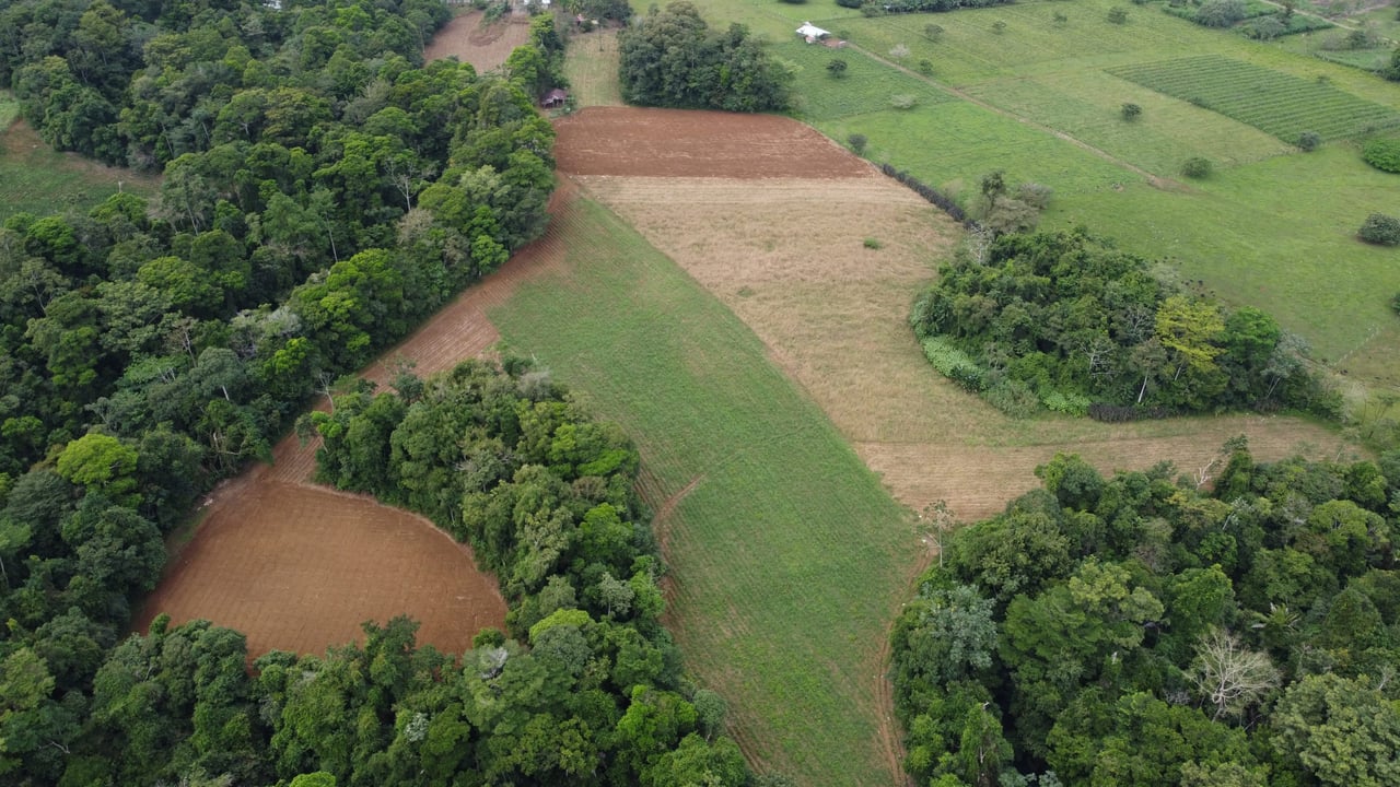 Villa Celeste Land | Embrace a unique 9-hectare Property along Rio Celeste