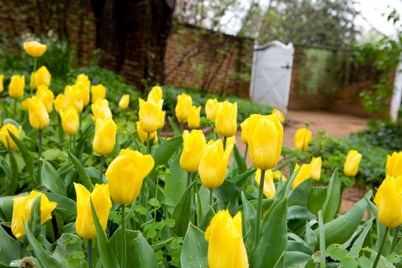 Your Perfect Day in Charlottesville – Morning