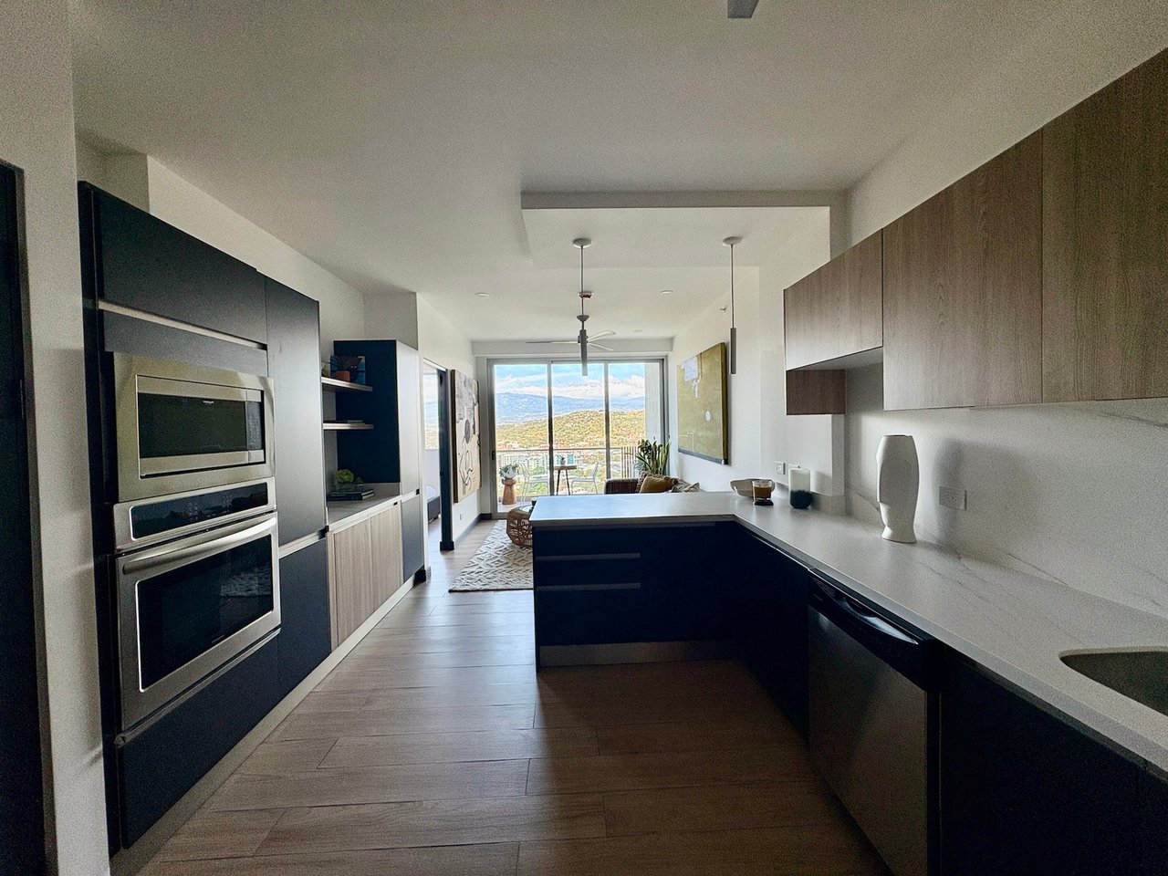 Contemporary Mountain View Condo, Santa Ana, San Jose