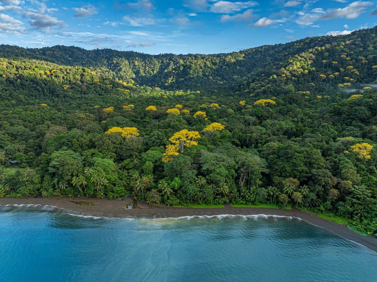 Private Beachfront Rainforest Estate, Osa, Puntarenas