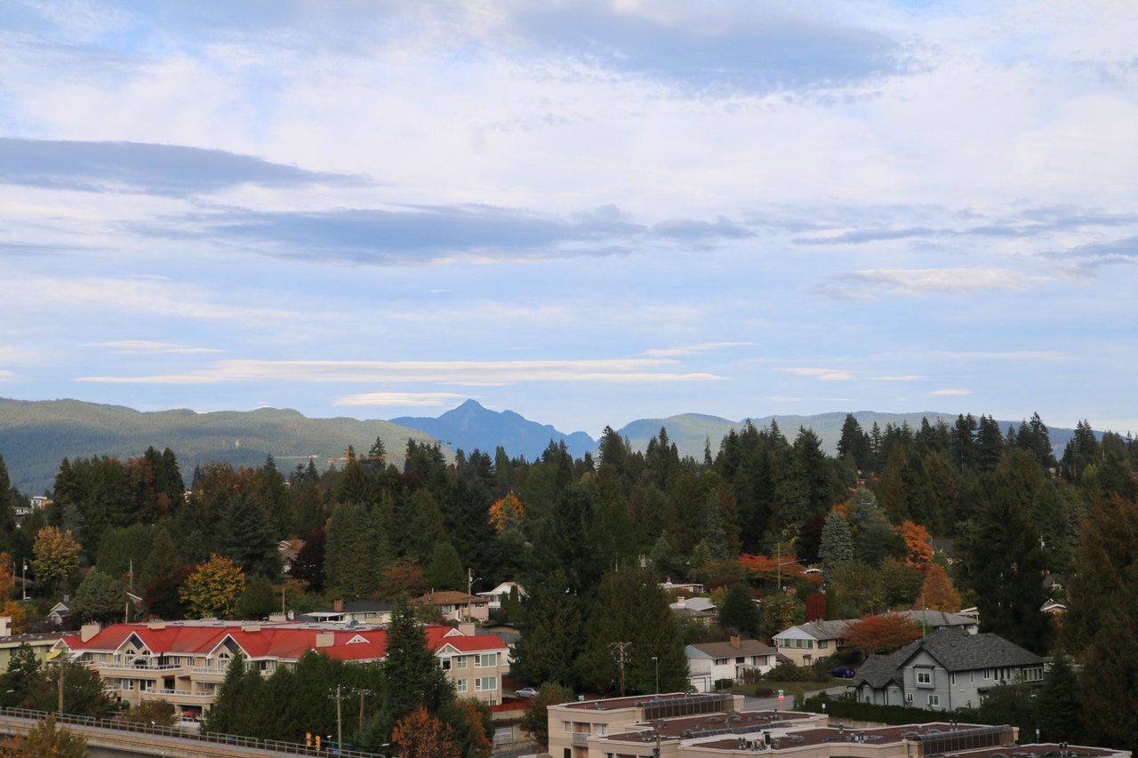1211-3809 Evergreen Pl