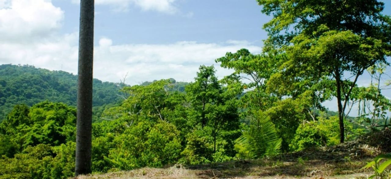 Gated Community Development Lot, Dominical, Puntarenas