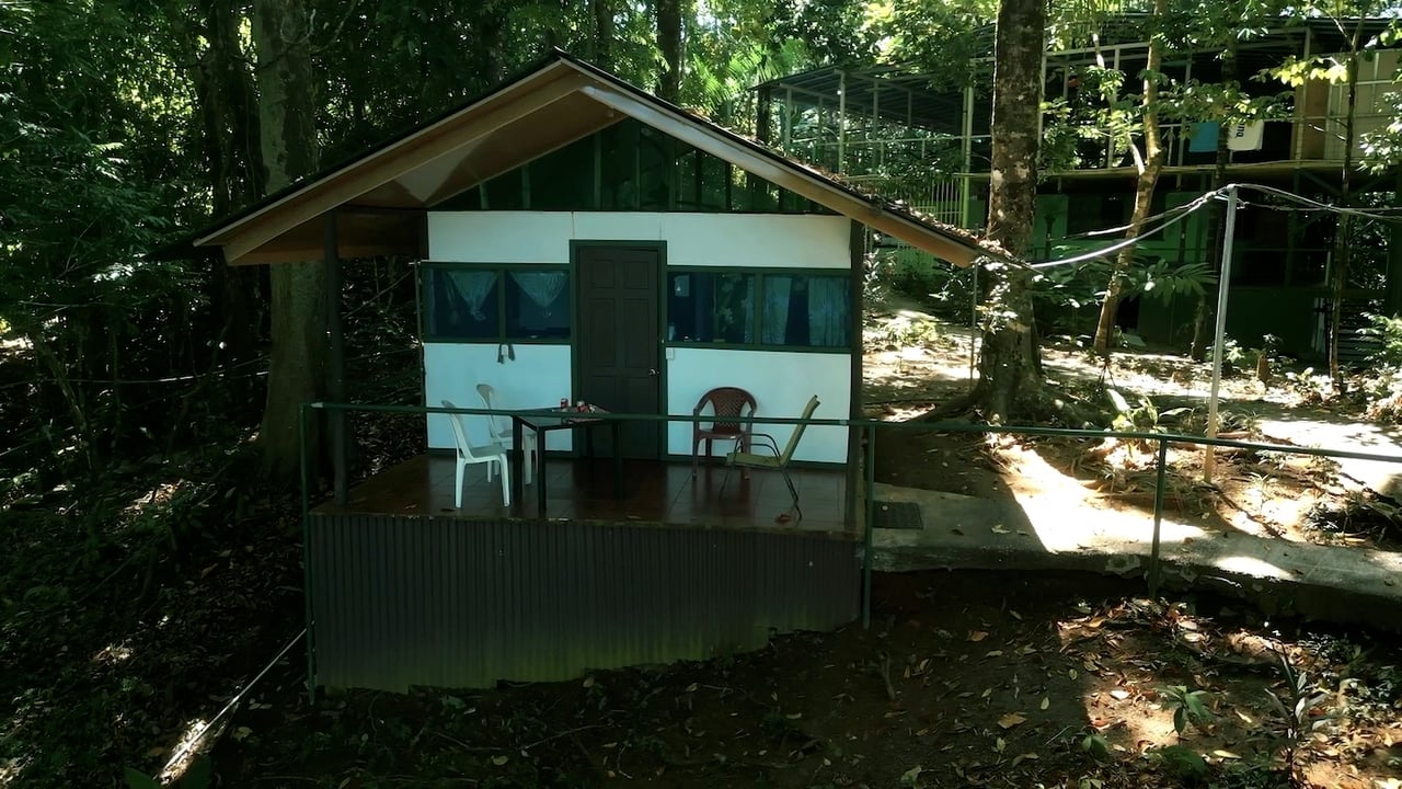 Beachfront Jungle Eco Resort, Osa, Puntarenas