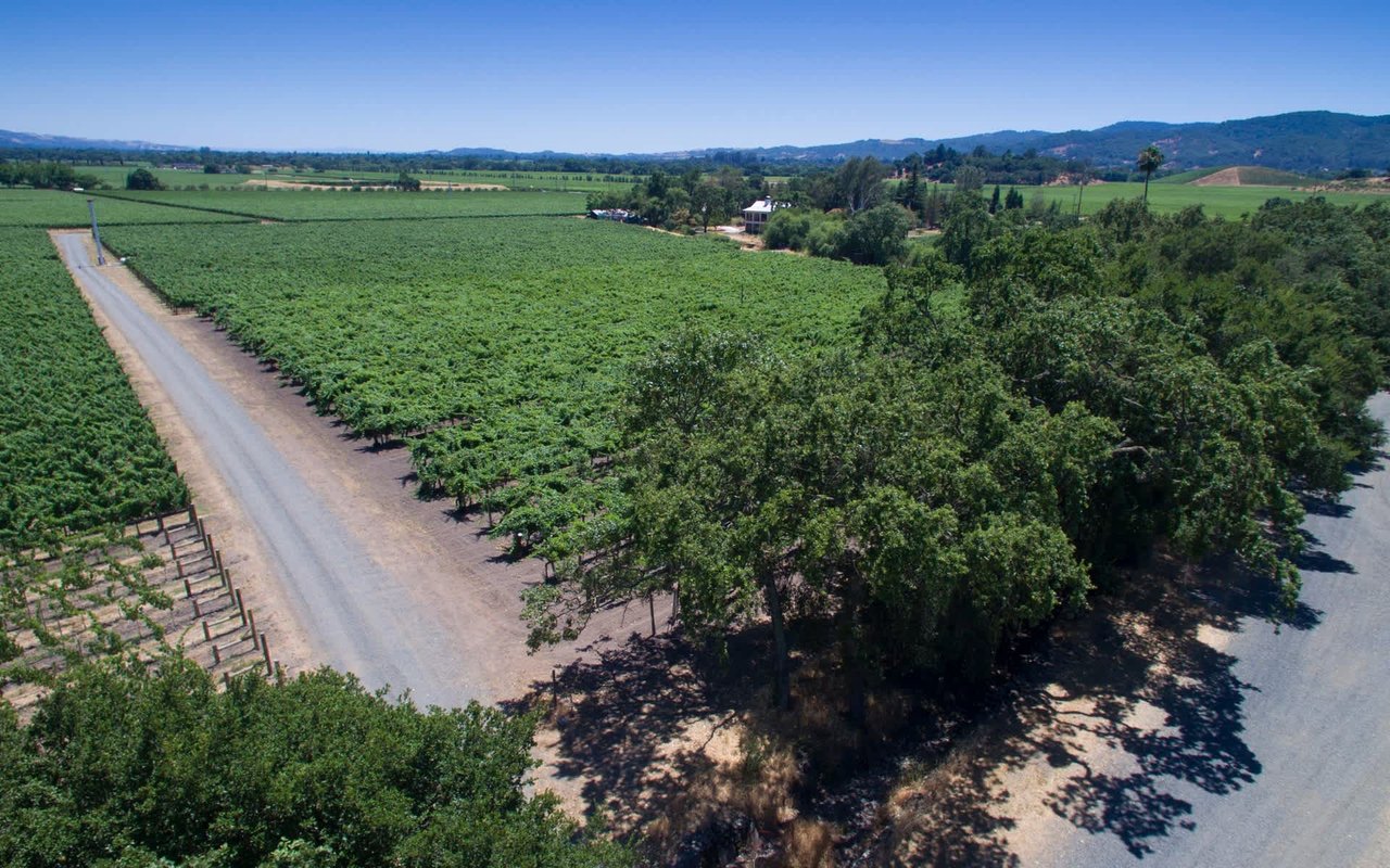 Stag's Leap, Napa Valley