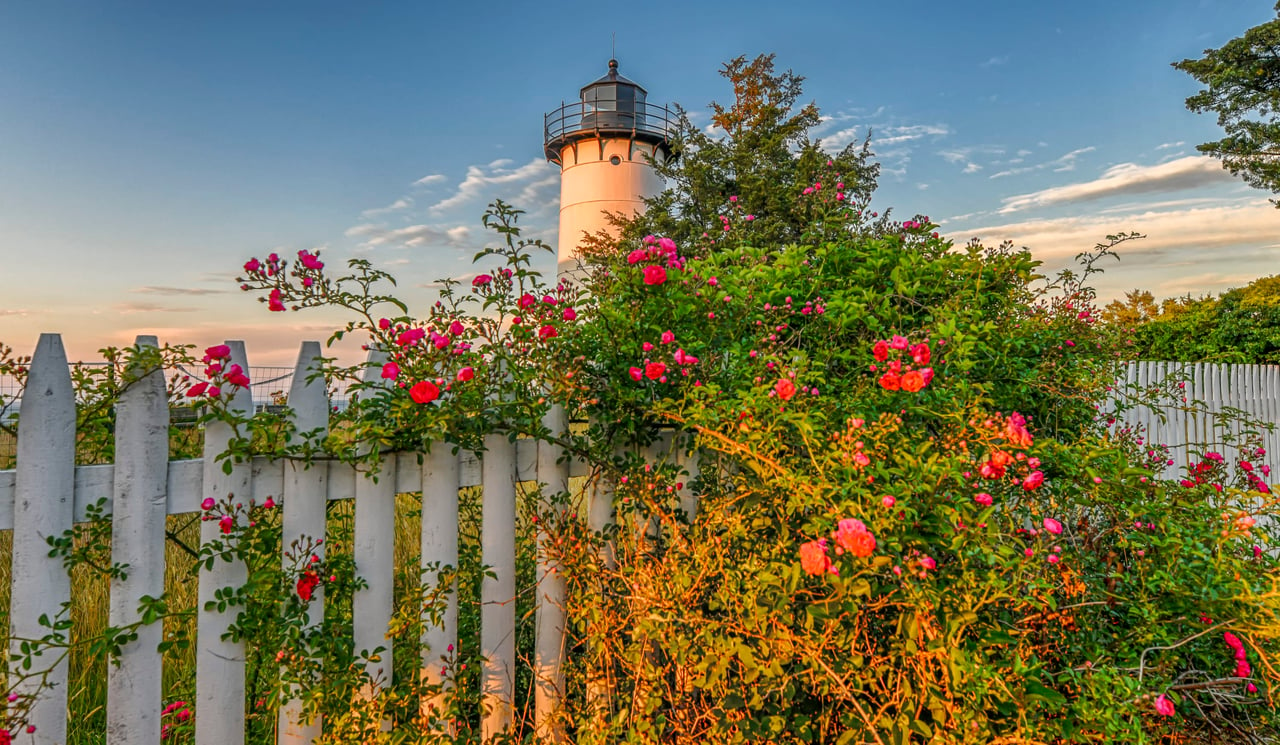 Oak Bluffs photo