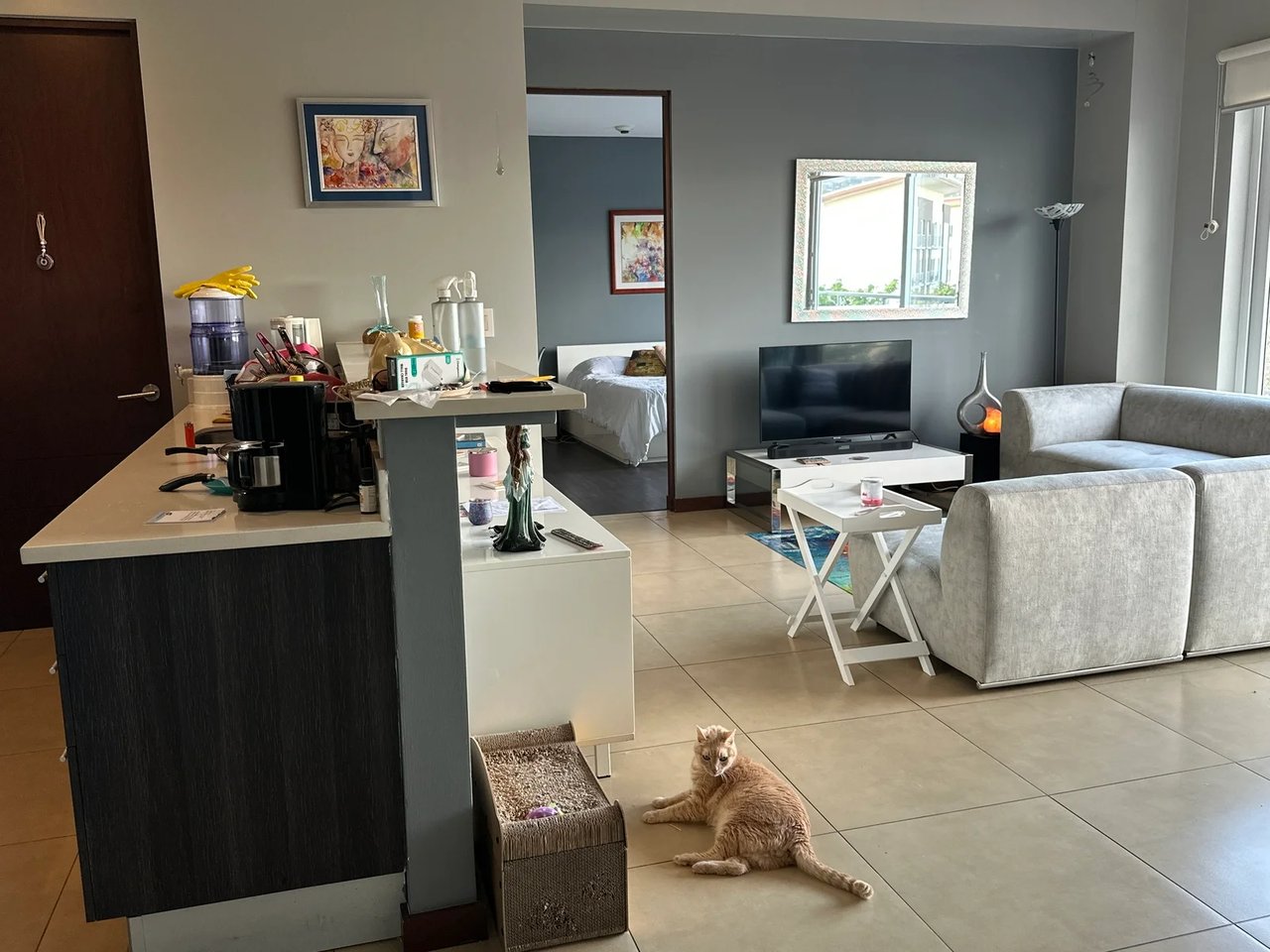 Forest View Penthouse Condo, Escazu, San Jose