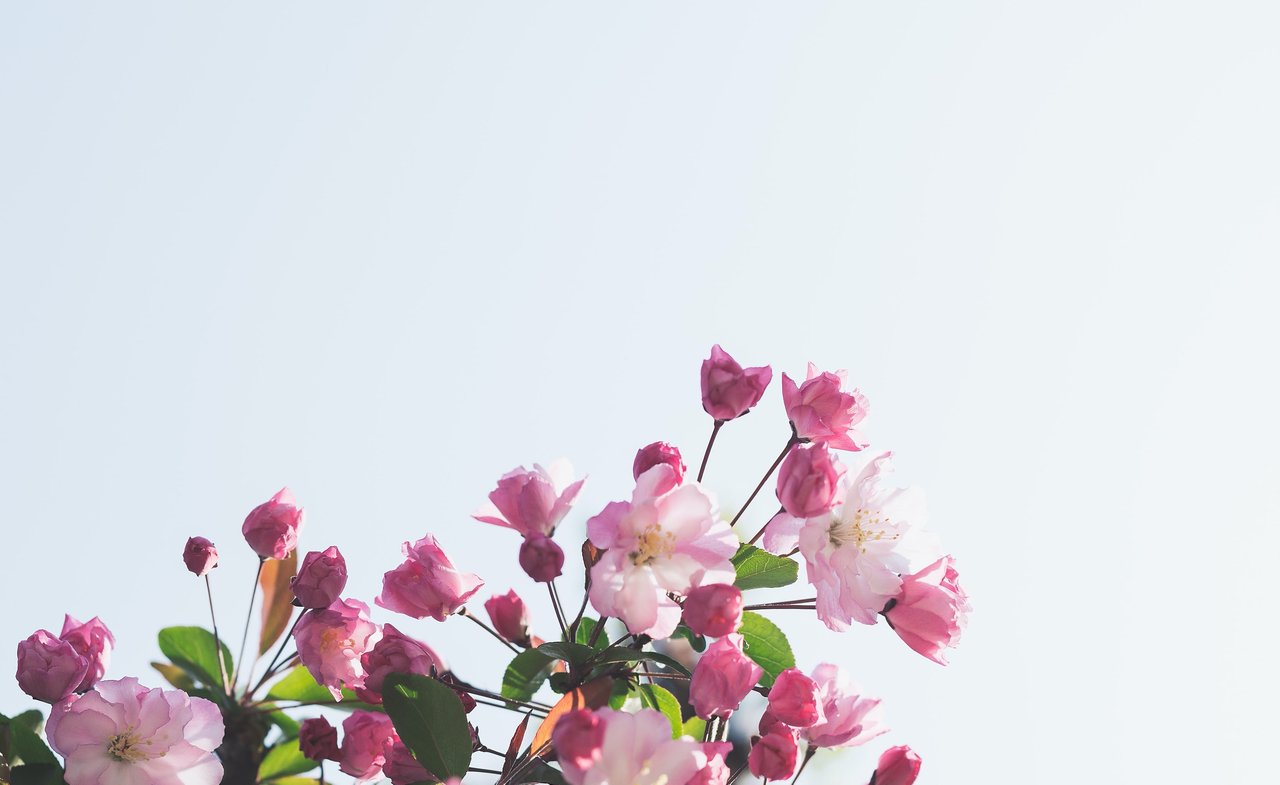 Happy May in Montecito