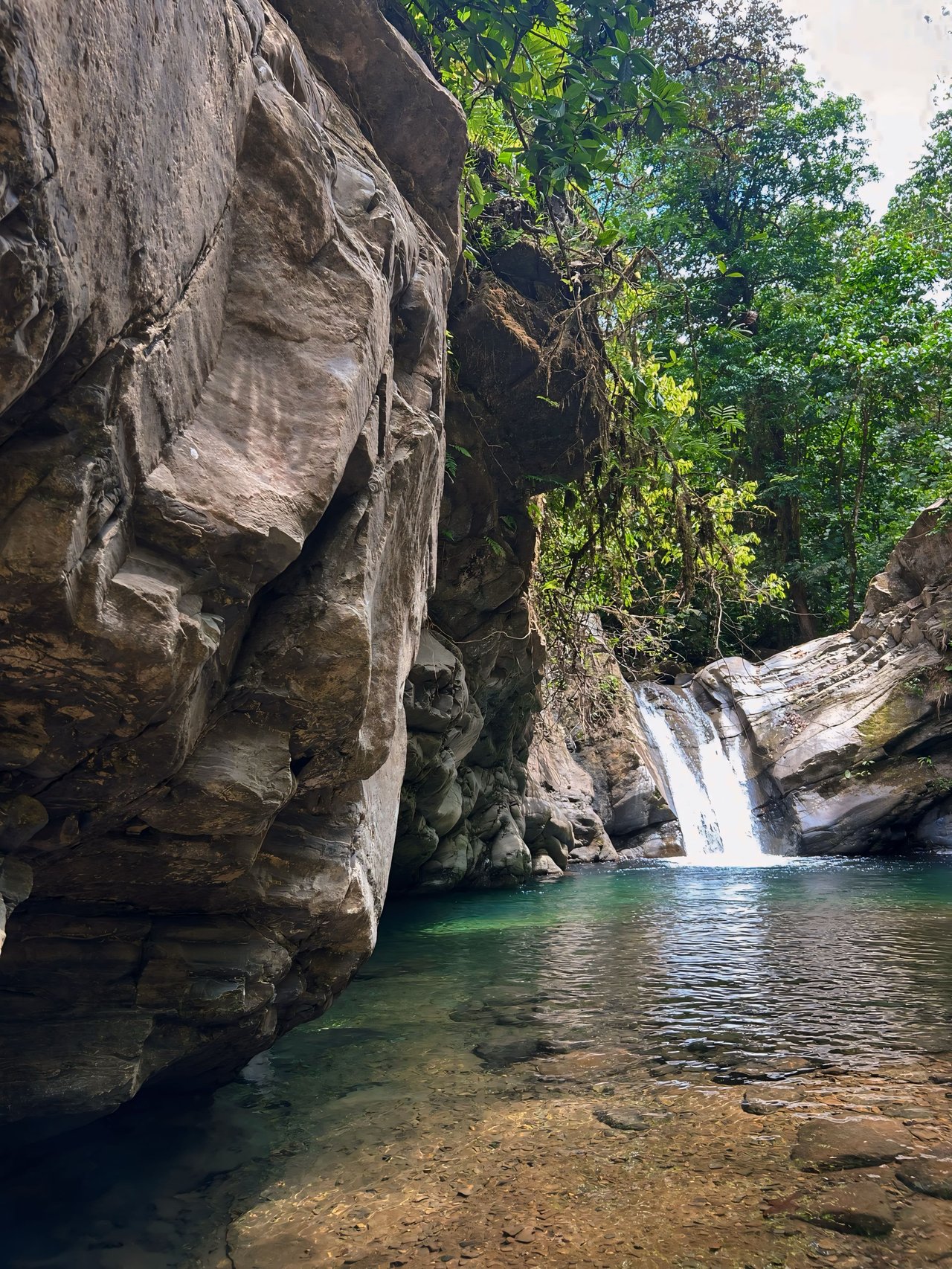 Finca Cerro del Tigre!   Over 20 Acres of Primary Forest and  Waterfalls. 