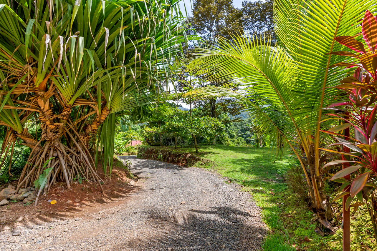 Casa Loro Verde,  Rainforest Jungle Retreat Home on 5.24 Acres in Portalon!