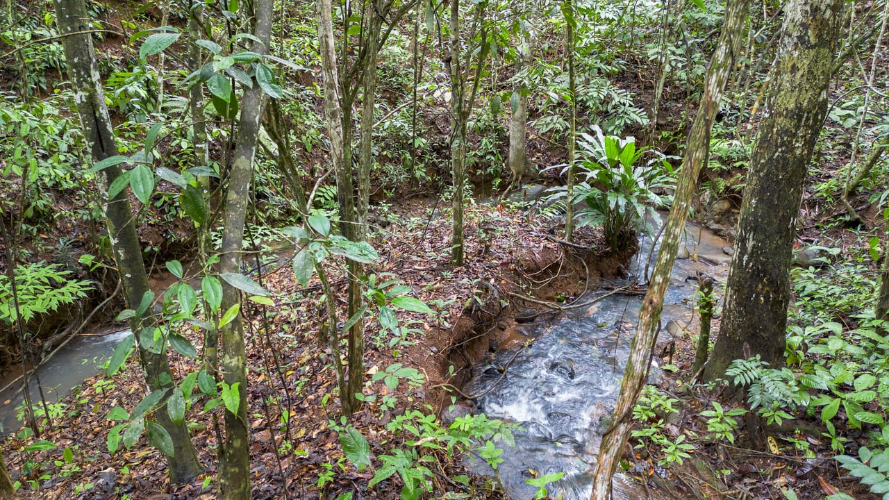  2.5 Acres of Fertile Land with Creek, Ready to Build