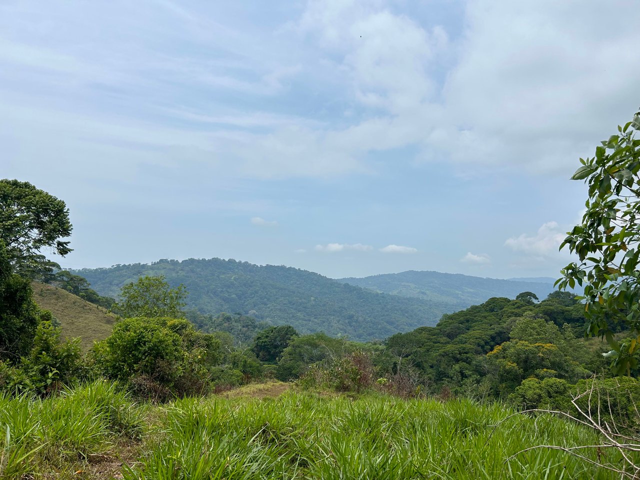 Over 76 Acres in Hatillo Overlooking Playa Linda