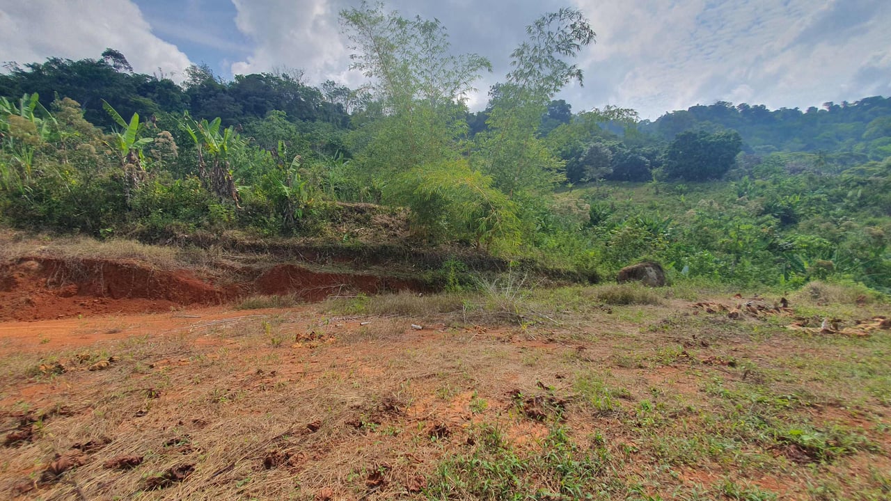 Peaceful Land for Sale