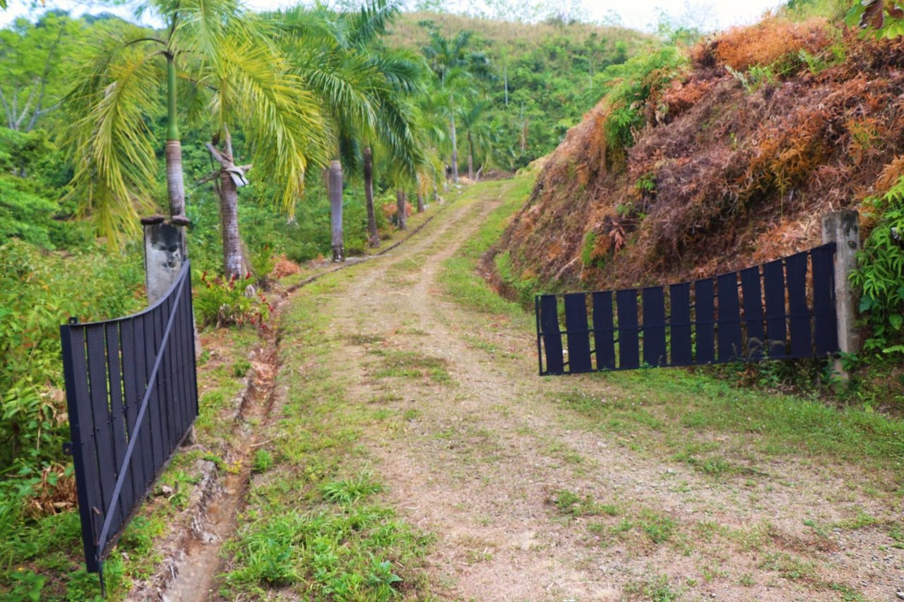 Ocean View Gated Development Land, Ojochal, Puntarenas