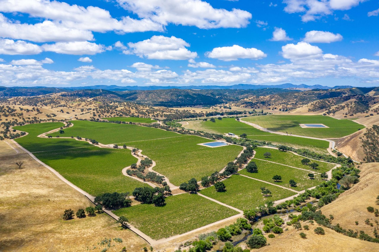 Paso Robles Vineyard