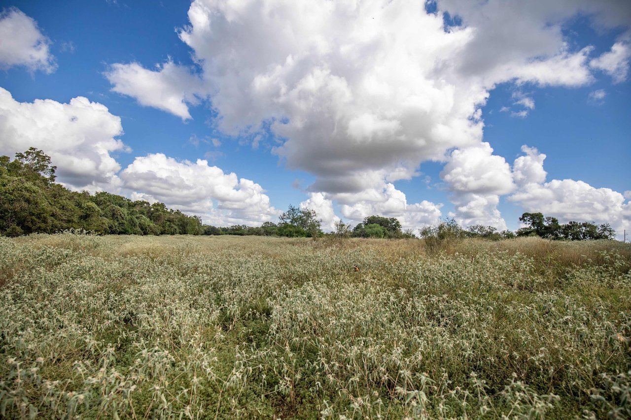 Lovers Lane River Ranch | 140± Acres | DeWitt County