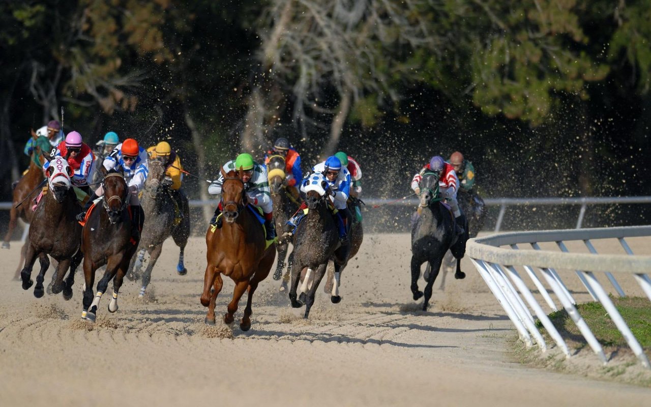 14 Things to Do in Arcadia