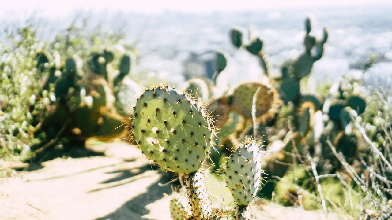 Best Hiking In The Los Angeles Area