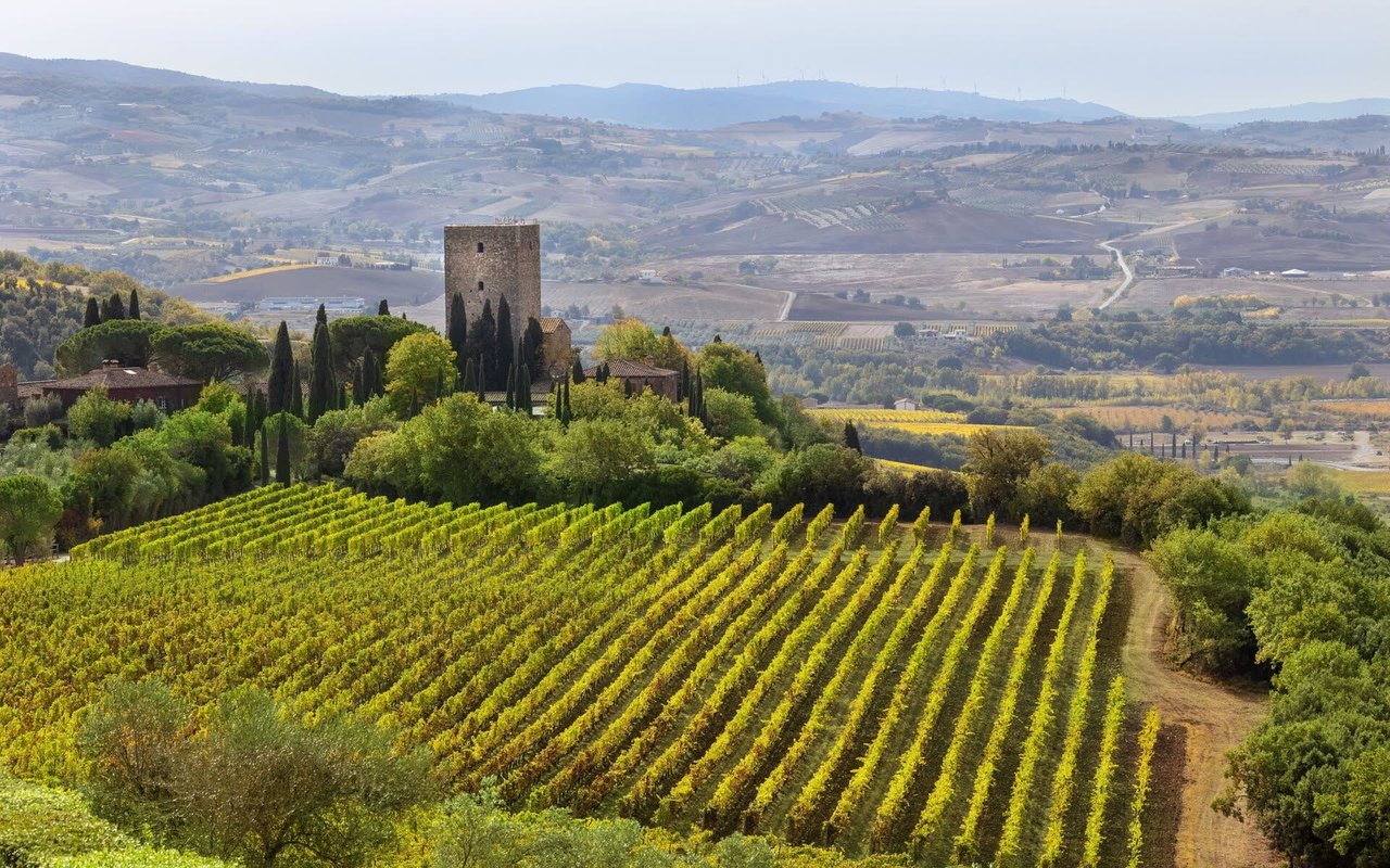 53024 Montalcino SI