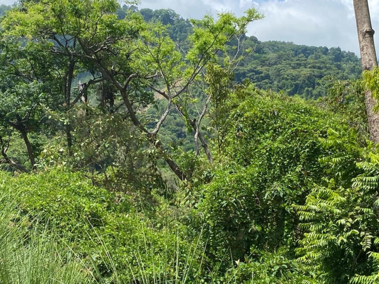 Private Ocean View Parcel, Manuel Antonio, Puntarenas