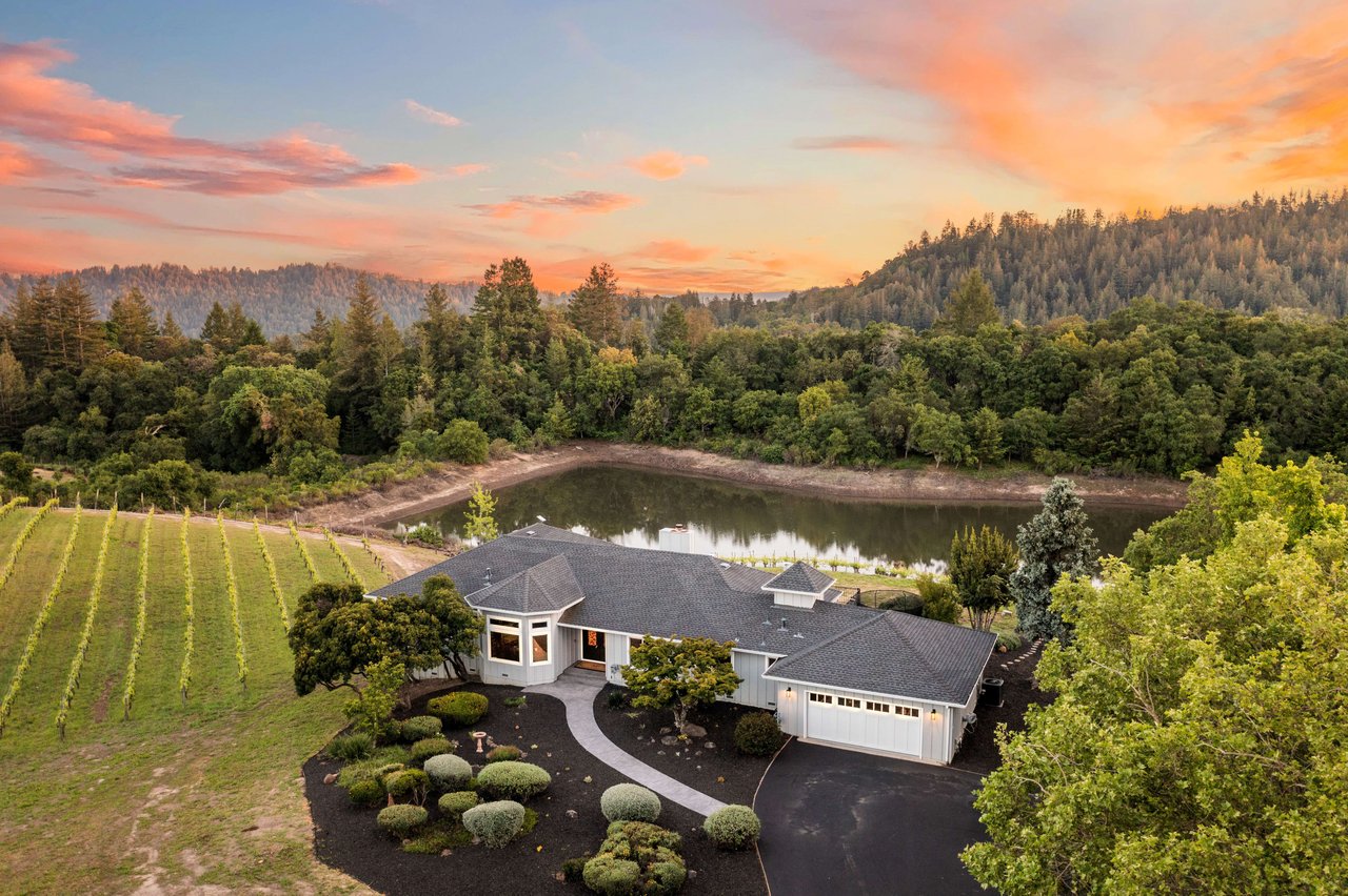Vineyard Estate